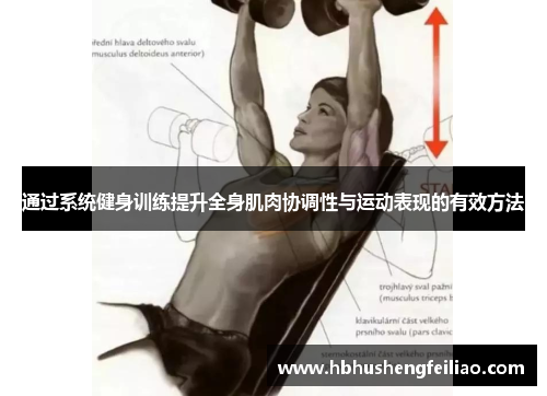 通过系统健身训练提升全身肌肉协调性与运动表现的有效方法