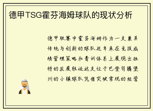 德甲TSG霍芬海姆球队的现状分析